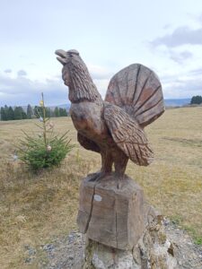 Harz: Berge, Wald, Kleinflüsse. Natururlaub im Harz für; Entdecker; Wanderer Sportler und Mountainbiker – Bild 25