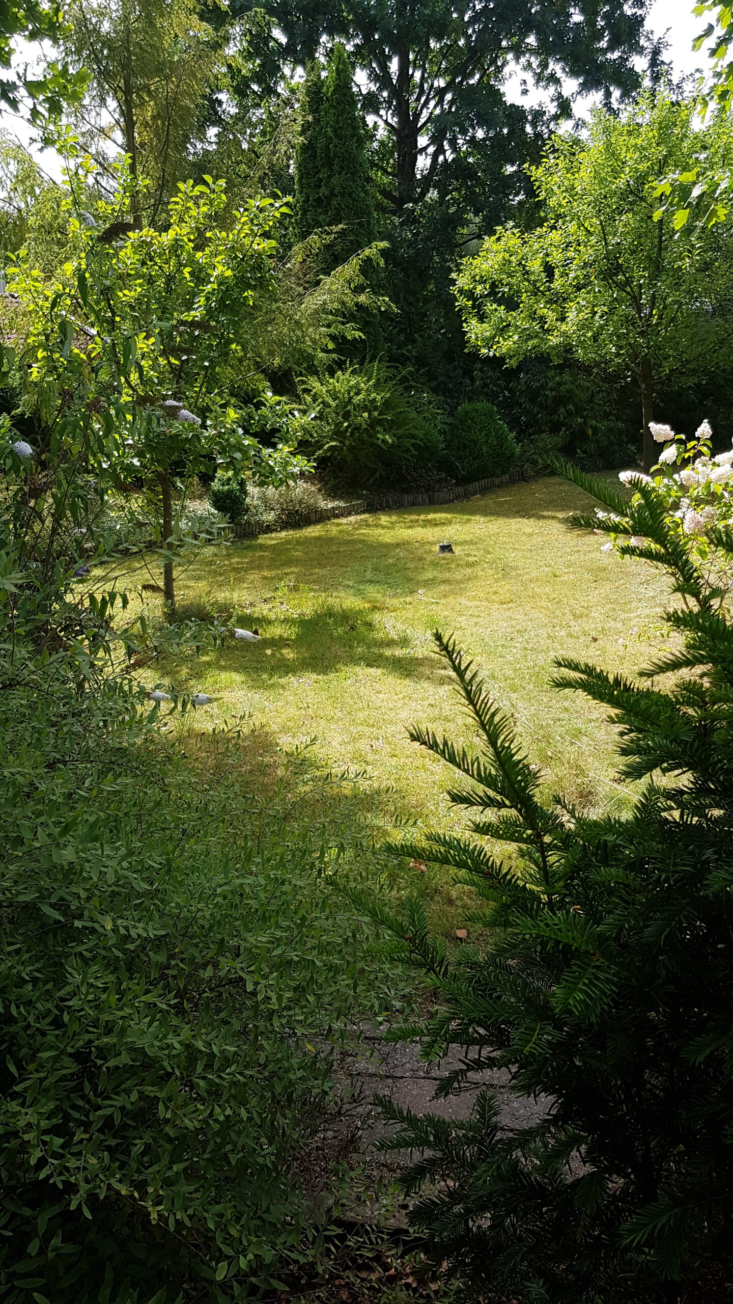 Nurdachhaus Müden Örtze – Bild 3