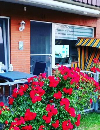 Traumhafte Ferienwohnung im Erdgeschoss mit eingezäunter Terrasse, 3 Hunde sind herzlich willkommen Terrasse
