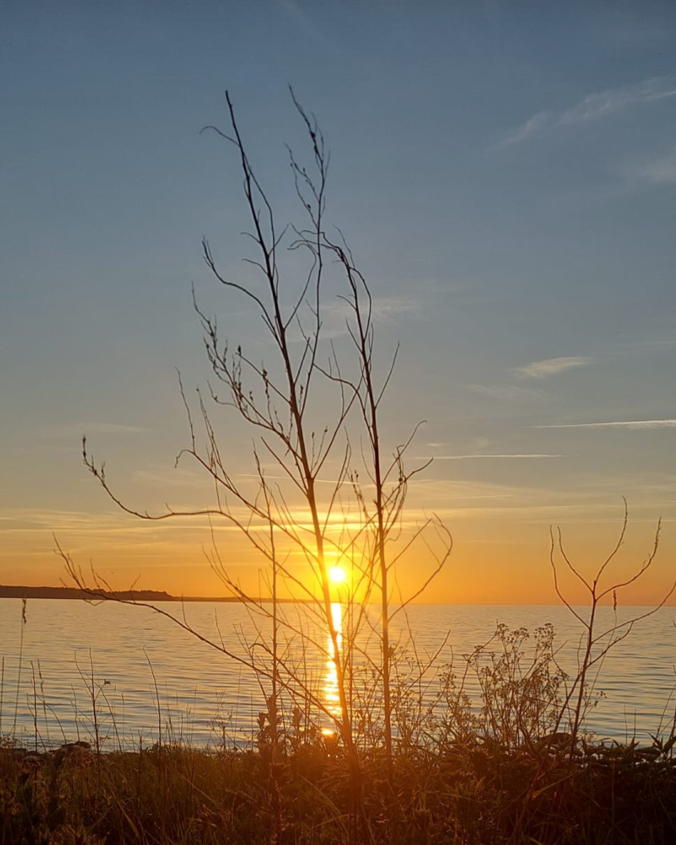 Gemütliche Ferienwohnung an der Ostsee – Bild 14
