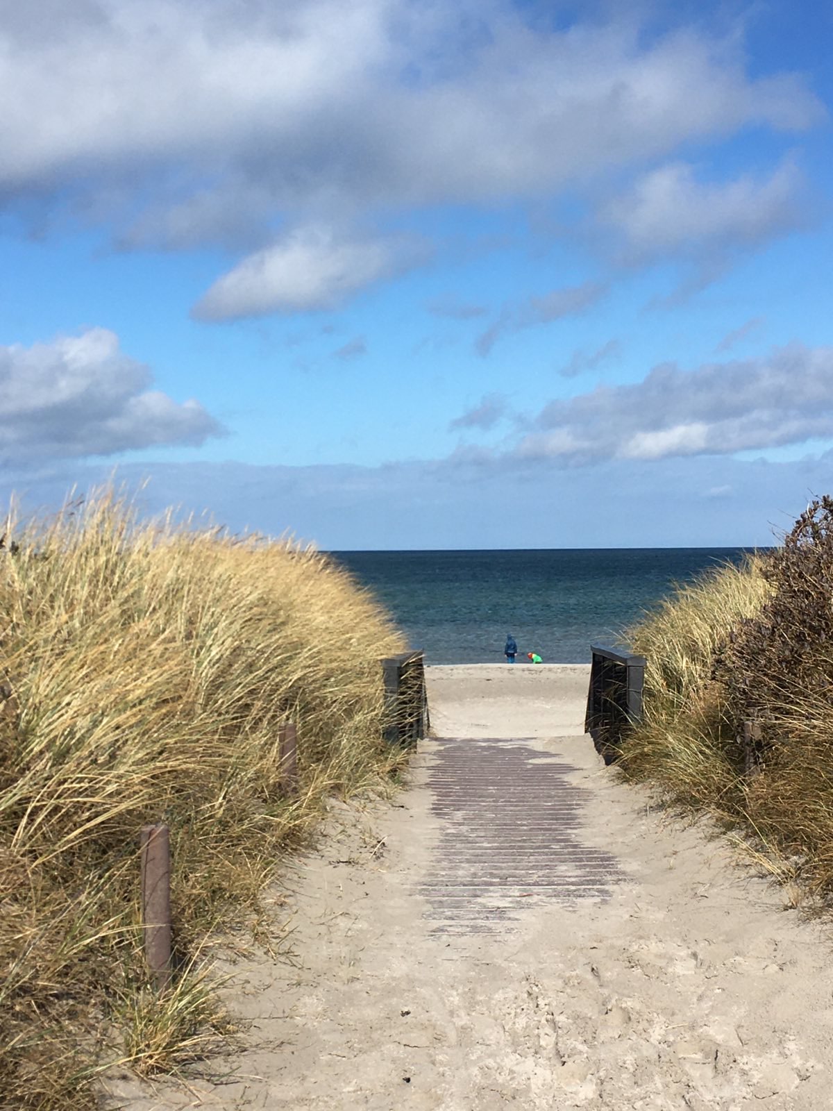 Gemütliche Ferienwohnung an der Ostsee – Bild 10