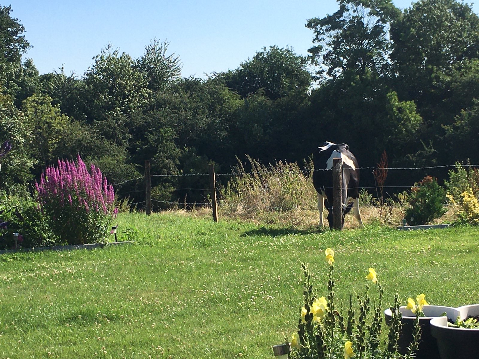 Gemütliche Ferienwohnung an der Ostsee – Bild 9
