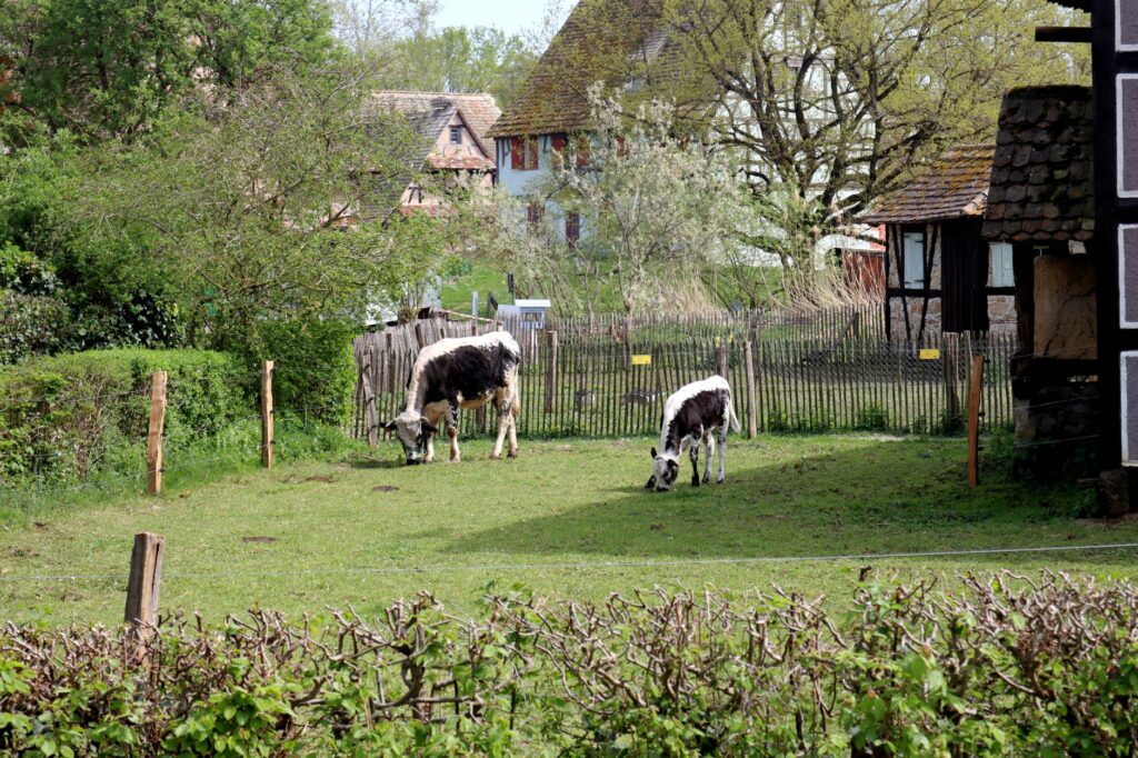 Ostholstein Gastgeber und ihre komfortabelen Unterkünfte