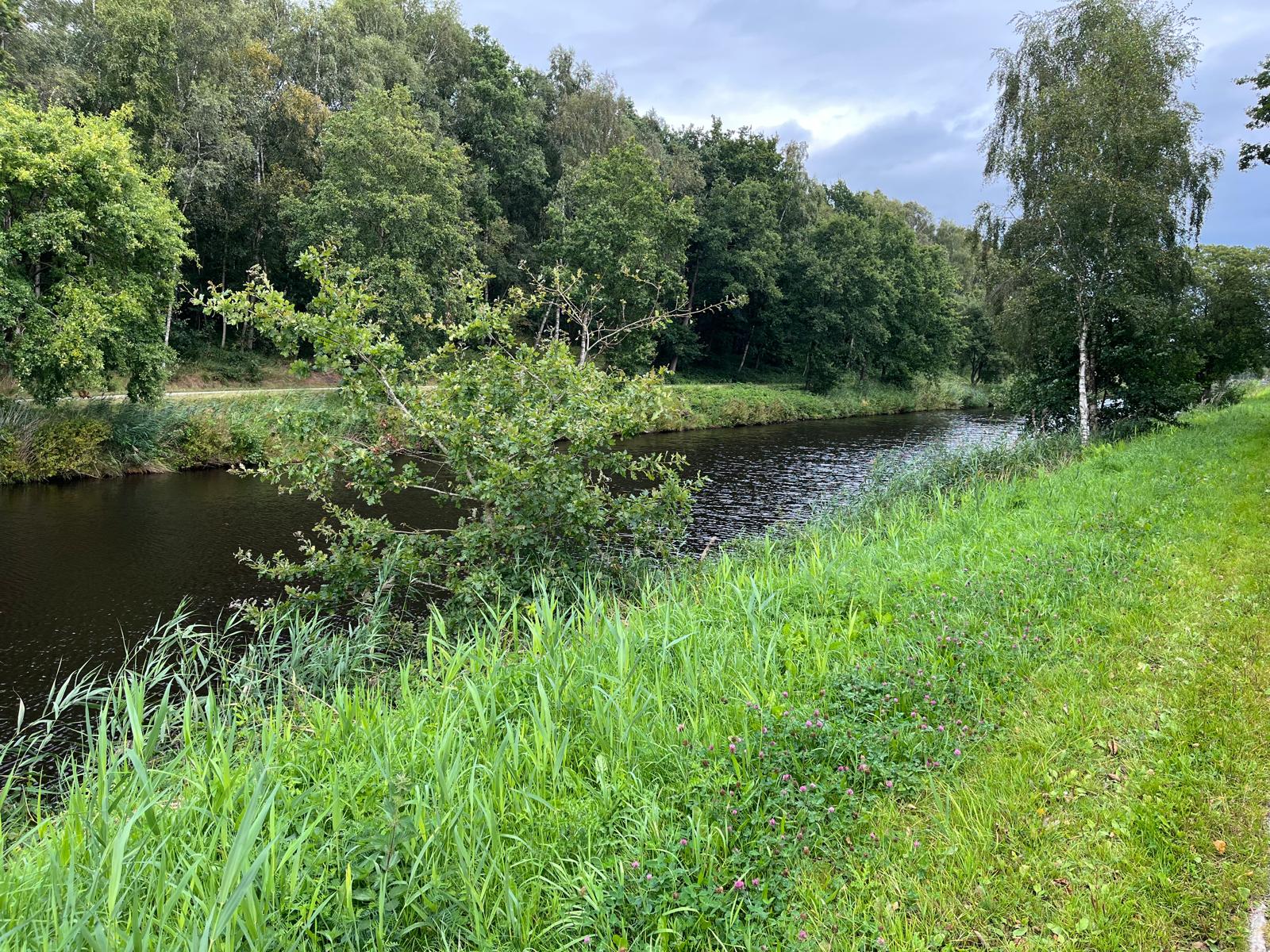 Ferienwohnung beim Ems-Jade-Kanal nahe Wiesmoor – Bild 11