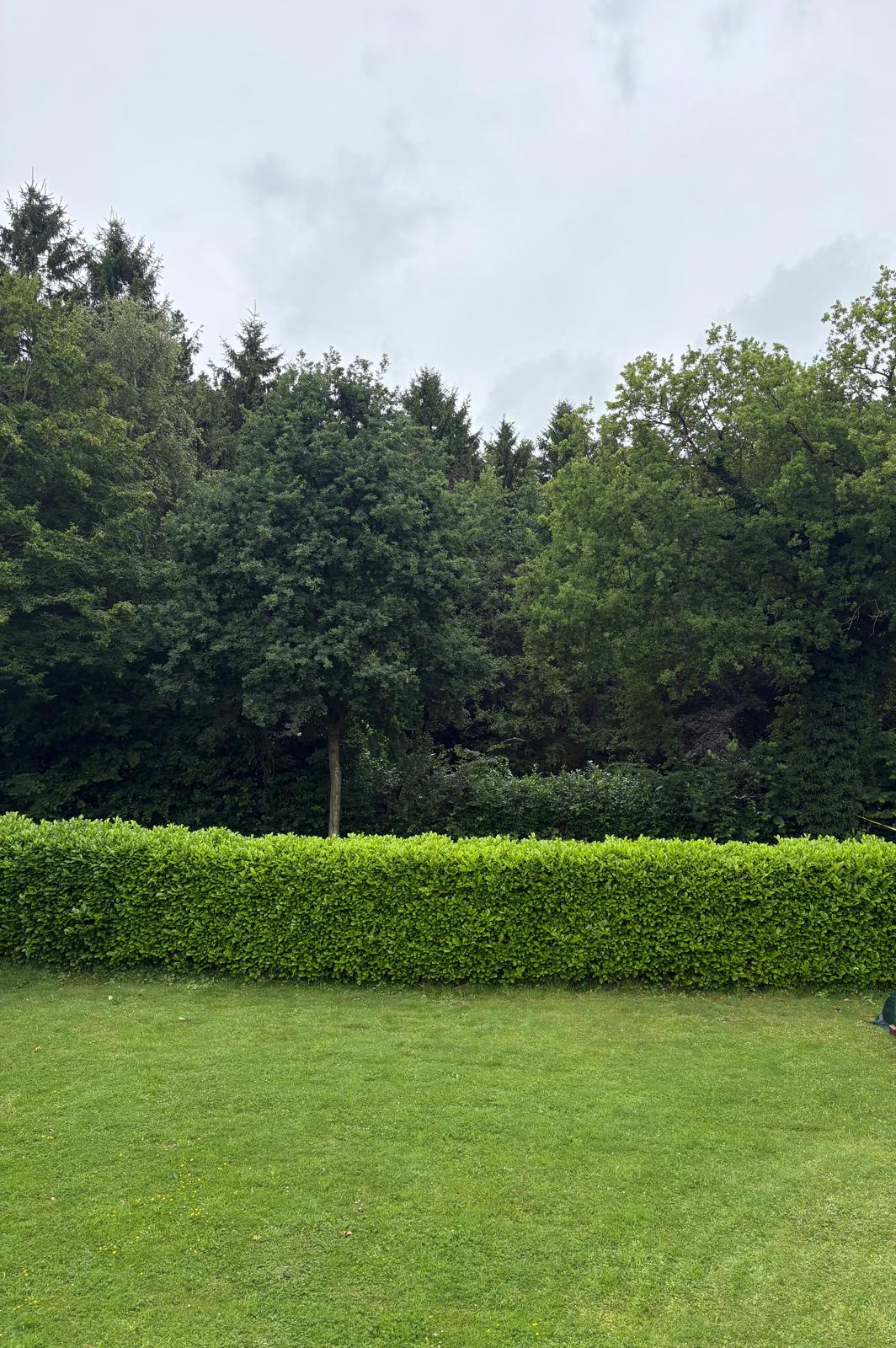 Ferienwohnung beim Ems-Jade-Kanal nahe Wiesmoor – Bild 12