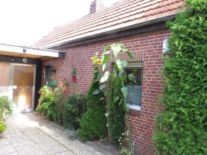 Kleines Ferienhaus mit Sauna in Ostfriesland