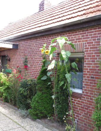 Kleines Ferienhaus mit Sauna in Ostfriesland